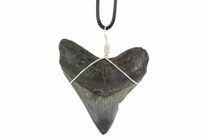 Fossil Megalodon Tooth Necklace #95235